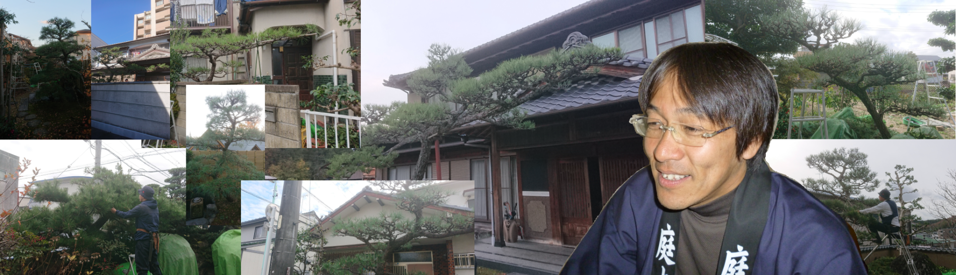 NAO庭　松の木の剪定　名古屋市